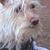Connie Scigliano's profile image