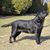 Michelle Fardale's profile image