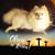 Diane Denton's profile image