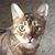 Lori White's profile image