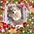 Debbie Wilson's profile image