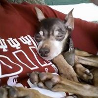 Tracy McDonald's profile image