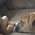 Marley Hames's profile image
