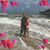 Dino Rozzo's profile image