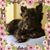 Nancy Ruland's profile image