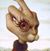 Heath Kibbey's profile image