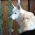 Chantal Day's profile image