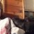 Lauren Rasula Klement's profile image