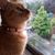 Ann Ross Sparacio's profile image