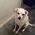 Mary Kroth's profile image