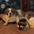 Neil Friedland's profile image