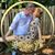 Bill Jennifer Leiter's profile image