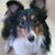 Sarah Henderson's profile image