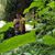 Jessie Jimenez Lopez's profile image