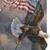 Patricia Bolin's profile image