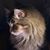 Toni Hudson's profile image