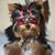 Zenda Lee Margott's profile image