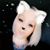 Desi Stephens's profile image