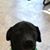 Betty J Smithsonian's profile image