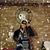 Gina Allen Johnsen's profile image