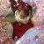 Michelle Poole's profile image