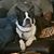 Chuck Bridwell's profile image