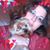 Julie Hahn's profile image