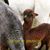 Jay Elle McCay's profile image