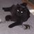 Joy Winslow's profile image
