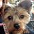 Gail Otmar's profile image