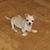 Debbie Moeller's profile image