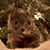 Linda Tiepelman's profile image