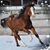 Kathleen Squellati's profile image