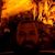 Jeremy Petty's profile image