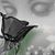 Ali Olmos's profile image