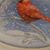 Dawn Dellarocco's profile image