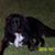 Heather Stone Havens's profile image