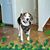 Tammy Davis's profile image