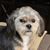 Mickey Wiestling's profile image