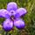 morgan.mcclinton.1's profile image