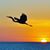 Mark Alger's profile image