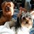 Patti Williams's profile image