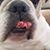 Shelly Bloodsworth's profile image