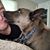 Anthony Raimondo's profile image