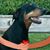 Val Brown's profile image