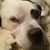 Crystal Monacelli's profile image