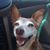 Nancy Wolf's profile image
