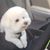 Mallory Schmidt's profile image
