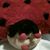 Donna Kay Anderson's profile image