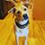 Linda Earwood's profile image